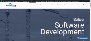 website desnet software development